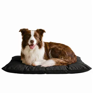 Elegant Hundekissen Maxy, Dunkel Grau, 60x100cm