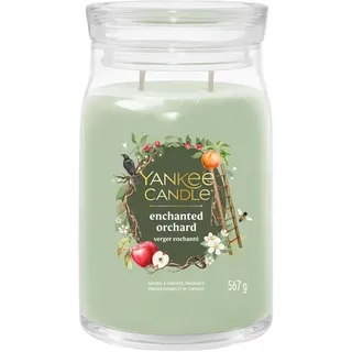Yankee Candle Enchanted Orchard Duftkerze 567 g grün
