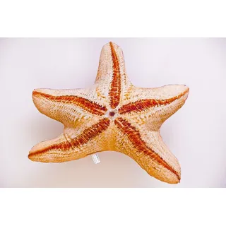 GABY Kissen Kuscheltier Fisch Stofftier Plüschtier Plüschfisch Geschenkidee TOP! - mehrfarbig