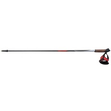 Masters NW Carbon 100 cm (1 Paar)