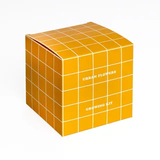 Anzucht-Set gelbe Blumen – Urban Flowers – Samenkugel (Goldenes Violacioccus, Fenchel und Meliloto) – originelles Geschenk und Dekoration für Zuhause – einfach zu züchten Resetea