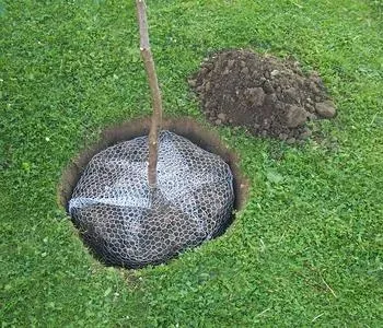 Produktbild