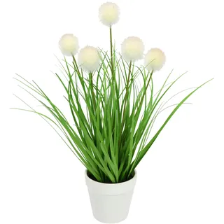 Flair Flower Knopfgras im Topf Kunst-Gras Künstliches Gras Grün Kunstpflanze Kunstgras Ziergras Kunstpflanzen Dekogras Grasbüschel Ziergras Deko Grasarrangement Borstenhirse Süßgräser