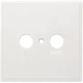 axing/skt Axing TZU2-01 Abdeckung, TV/DATA, einteilig TZU00201 TZU 2-01