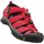 Newport Rot/Gargoyle 31