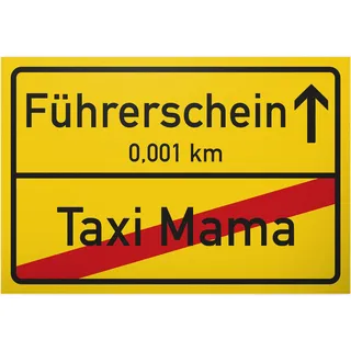 DankeDir! Führerschein Taxi Mama 30 x 20 cm Schild Ortsschild - Geschenk bestandenen Führerscheinprüfung Fahrprüfung - Führerscheinneulinge - Glückwunsch KFZ Auto Führerschein