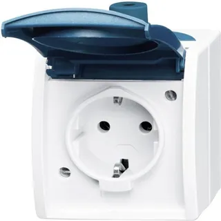 Busch-Jaeger Schuko-Steckdose 20 EW-53 Blau 2 St.
