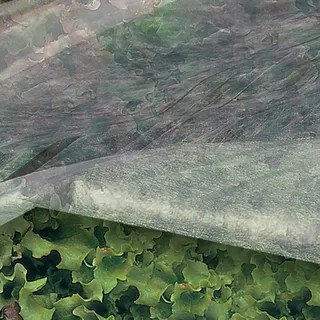 TELO TERMICO ORTOCLIMA 2.40x10 TENAX