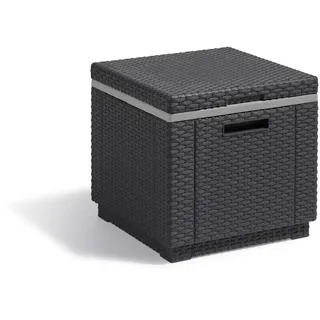 ALLIBERT Kühlbox 40 l