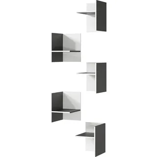 Froschkönig24 Germania Facheinsätze-Set 4285-569 Produkttyp 27 x 37 x 35 cm grau/weiß
