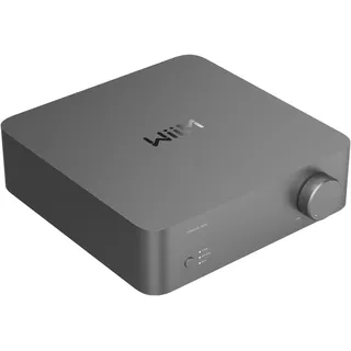 WiiM Vibelink Amp 1.0 Kanäle Mehrzweck Grau