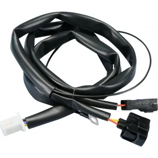 Kabelbaum Polini für ECU-Einspritzmodul, Honda SH 125i / SH 150i