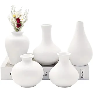 Mini Vasen Set Keramik Weiß 5er Kleine Vasen für Tischdeko Mini Porzellan Vase Keramik Vase Weiss Matt Moderne Deko Vase Weiß für Blumen Pampasgras Wohnzimmer Eingangs und Tisch Dekoration
