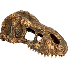Exo Terra T-Rex Skull, Terrariumeinrichtung
