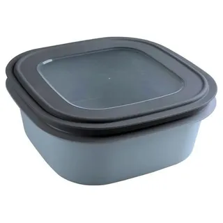 Sunware Sigma Home Frischhaltedose Mikrowellenbehälter Gefrierdose 2,8L Blau – 23x23x9cm – luftdicht auslaufsicher stapelbar – BPA-frei Vorratsdose Aufbewahrungsbox