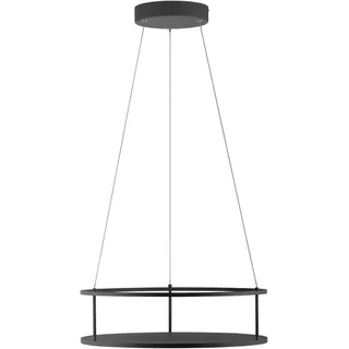 Paul Neuhaus Conni 1-flg. Ø 50 cm rund schwarz