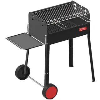 Avilia Holzkohlegrill mit Rollen aus Edelstahl, Grillrost aus Gusseisen, 58 x 38 cm und Deckel für gleichmäßiges Kochen