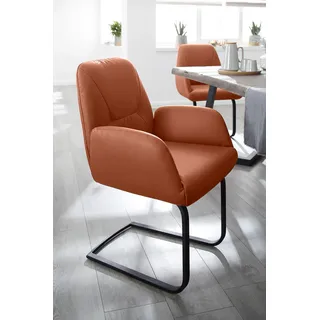 W.Schillig Freischwinger Leder braun