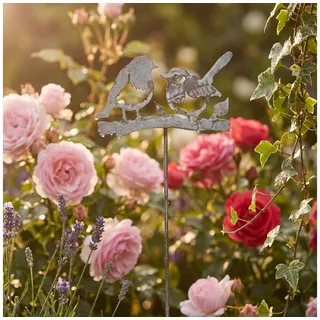 Ambiente Haus Gartenstecker Vogel (H) 85cm 25 x 85 cm Grau