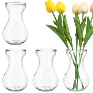 DEARMAMY Glasvase Klein Rund Hyazinthenvase Für Hydroponische Anzucht Klare Blumenvase Kleine Dekovasen Für Tischdeko Wohnzimmer Büro Wohnaccessoires