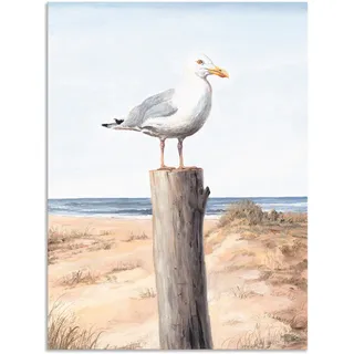 Artland Wandbild "Möwe" Vögel 1 Stk. tlg. als Alubild, Leinwandbild, Poster in verschied. Größen, farbe bild(er): weiß