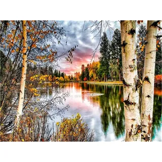 YEESAM ART Neuheiten Malen nach Zahlen Erwachsene, Sonnenuntergang Wald Bäume See Landschaft 40x50 cm Leinen Segeltuch, DIY ölgemälde Weihnachten Geschenke