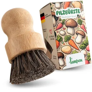 lampox - Pilzbürste, Champignonbürste, Küchenbürste, Gemüsebürste, Reinigungsbürste, Kartoffelbürste, Wurzelgemüse, zur Reinigung von Pilzen und Gemüse, Bambusgriff und Rosshaar