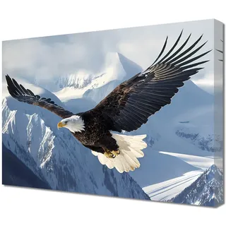 ZQQART Leinwandbild mit Adler schwarz weiß fliegender Weißkopfseeadler Bild westliche Tiere Malerei fliegende Vögel Wildtiere Tiermotiv Poster für Küche Büro Zuhause Wanddekoration (Adler-B,30x45cm)