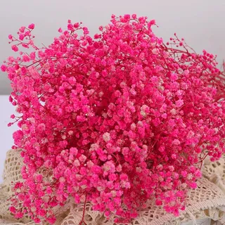 Getrocknetes Schleierkraut-Blumenstrauß - 2000+ Rosafarbene Trockenblumen, 43 cm natürliche Gypsophila-Zweige für Hochzeit, Tischvasendekor, DIY-Kranzfloristik, Heim-, Büro-, Party- und Gartendekor