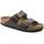 Arizona Birko-Flor
