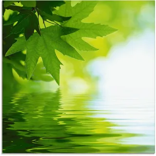 Artland Glasbild »Grüne Blätter reflektieren im Wasser« Blätter 1 Stk. tlg. in verschiedenen Größen, grün