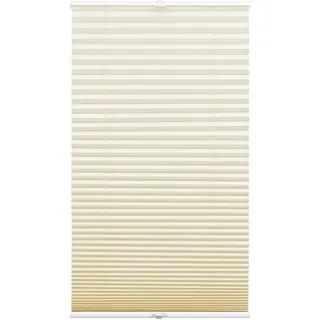 GARDINIA Plissee Concept Tageslicht 80 x 210 cm Beige