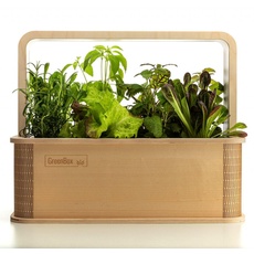 Bild GreenBox Smart Indoor