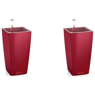 Lechuza MINI-CUBI Scarlet rot Hochglanz 18121 (Packung mit 2)