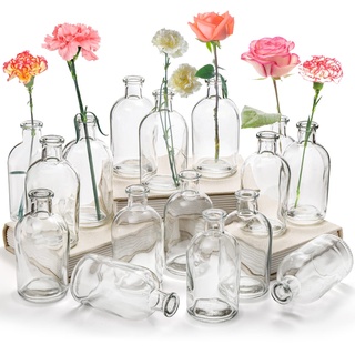 YOUEON 16 Stück lebende Knospenvasen, klare Glasblumenvase, 250 ml dekorative Flaschenvase, Glasvase, kleine Vasen für Heimdekoration Mittelstücke, Büro Tischdekoration, Hochzeitsempfang, Vintage Look