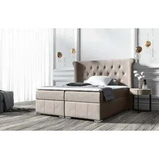 Boxspringbett MASSIMO  Pocket-Matraze , Topper 160 x 200 cm ( Dunkle Creme - Mat Velvet 09 ) - Creme