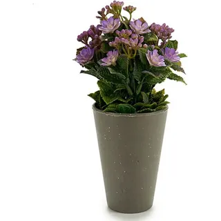 Dekorationspflanze Ibergarden Kunststoff 11 x 22 x 11 cm - Gelb, Weiß, Lila, Orange