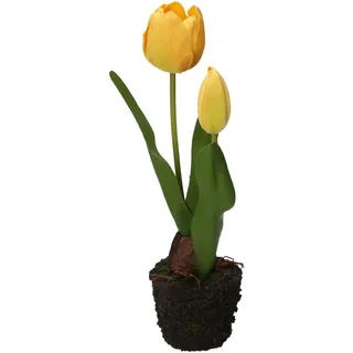 THUN Tulpe gelb S