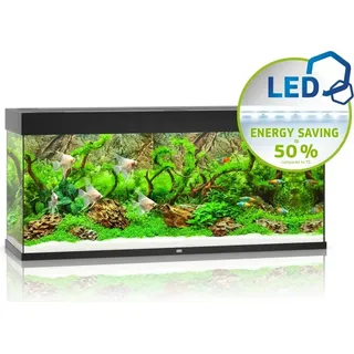 Juwel Rio 240 LED schwarz - Aquarium Juwel