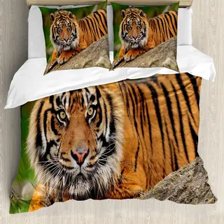 ABAKUHAUS Tiger Bettbezug, Crouching Tiger auf Felsen, Milbensicher Allergiker geeignet mit Kissenbezügen, 155 cm x 220 cm - 80 x 80 cm, Mehrfarbig
