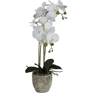 Gasper GmbH Textilpflanzen und -Blumen Phalaenopsis im Keramiktopf, 55 cm, weiß Kunstpflanze