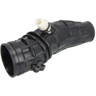 Thermotec Ansaugschlauch, Luftfilter THERMOTEC DCD019TT