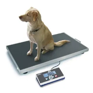 KERN Plattformwaage EOS 300K100XL (Wägebereich max. 300 kg, Ablesbarkeit 100 g, Reproduzierbarkeit 100 g, Linearität 200 g, Tierwaage, Veterinärwaage, extra große Wägeplatte)