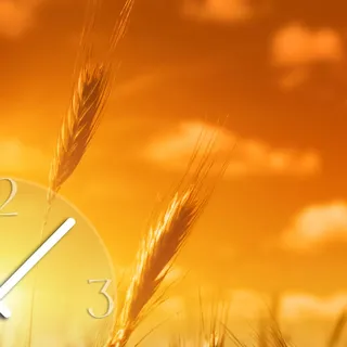 Wanduhr XXL 3D Optik Dixtime Sonnenuntergang Kornfeld 50x70 cm leises Uhrwerk GR-020 - Orange