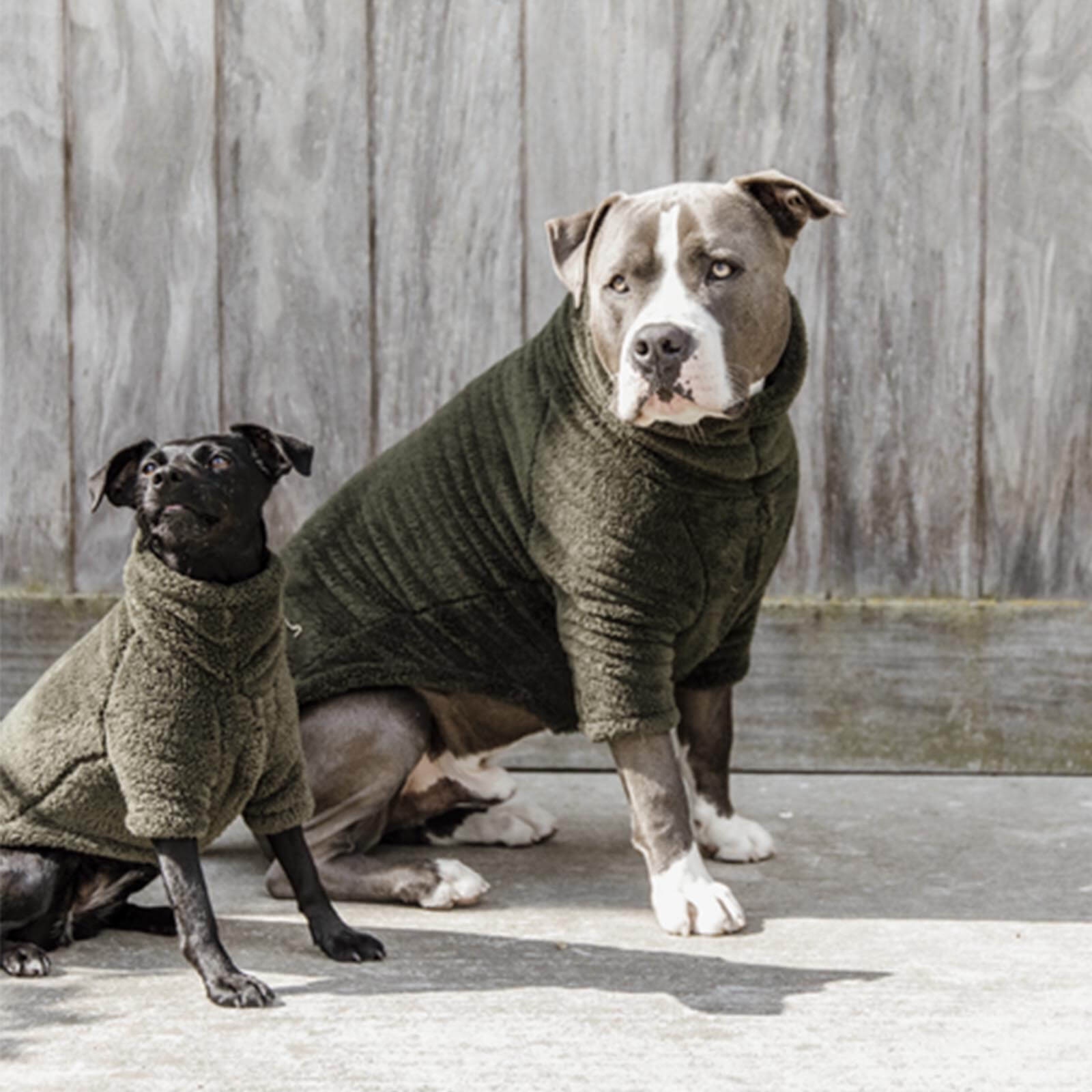 Bild von Dogwear Hunde Pullover Teddy Fleece Tannengrün XXL
