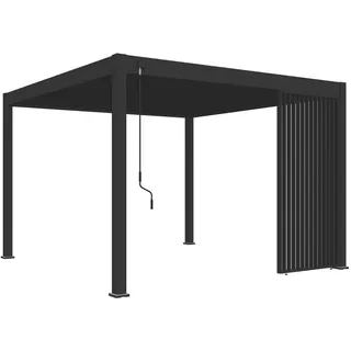 Weide Seitenwand für Weide Pergola 1 Stück 1,13 x 2,35 m Anthrazit