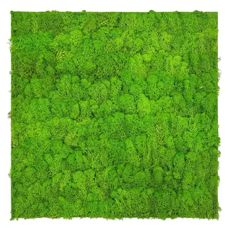JANGAL Wandpaneel Jangal Modular Wall Bright Green Moos 2 St. 52 x 52 cm