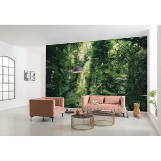 KOMAR Green Leaves 450 x 280 cm