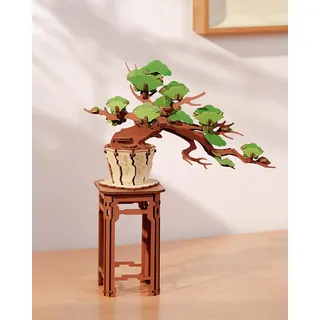 Rolife 3D Puzzle Sakura und Immergrüne Kiefer Bonsai Holzpuzzle Modellbausätze für Erwachsene zu Bauen Heimdekoration Kreative Geschenke für Erwachsene und Kinder (Immergrüne Kiefer)