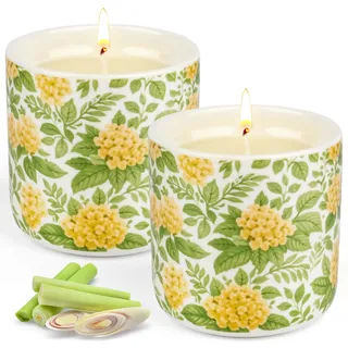 2 Stück Citronella Kerze Outdoor, 240Std Lange Brenndauer Große Keramik Citronella Kerzen, Natürliche Sojawachs Duftkerze für Garten, Camping, Terrasse, Picknicks, Sommergeschenk (A)